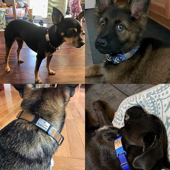 Personalized Dog/Cat ID Tags - Custom Engraved Name Tags - Slide On, No Noise - Small, Medium, Large Sizes-Mewly Pet