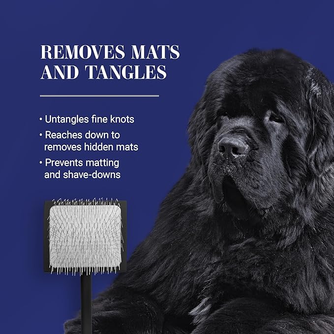 Chris Christensen Baby K Dog Slicker Brush, Groom Like a Professional, Fluff Detangle Style, Saves Time Energy, Black, Small-Mewly Pet