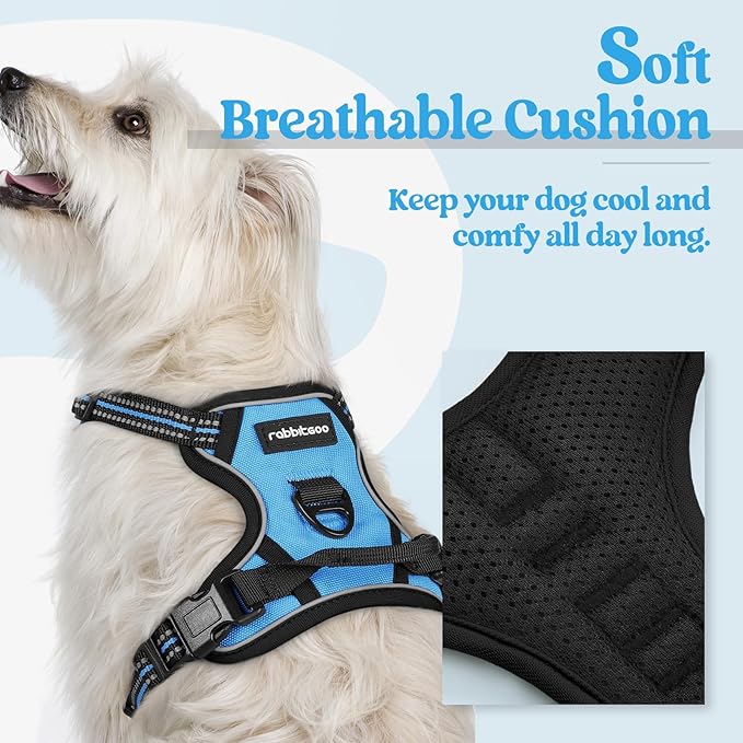 rabbitgoo Dog Harness No Pull with 2 Leash Clips, Adjustable Soft Padded, Reflective Oxford No Choke Pet Vest with Easy Control Handle for Puppy, Blue, XS-Mewly Pet