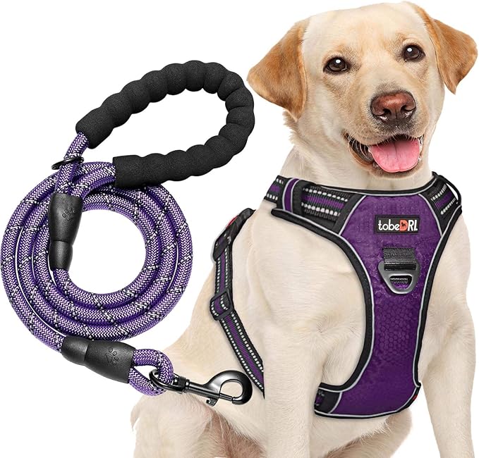 No Pull Dog Harness Adjustable Reflective Oxford Easy Control Medium Large Dog Harness with A Free Heavy Duty 5ft Dog Leash (L (Chest: 25.5"-31"), Purple Harness+Leash)-Mewly Pet