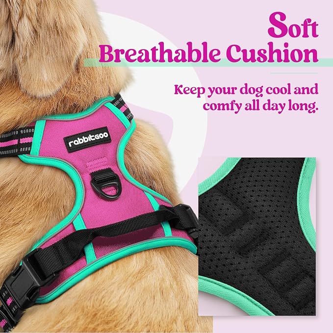 rabbitgoo Dog Harness No Pull with 2 Leash Clips, Adjustable Soft Padded, Reflective Oxford No Choke Pet Vest with Easy Control Handle for Large Dogs, Hot Pink & Turquoise, L-Mewly Pet