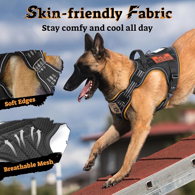 rabbitgoo Dog Harness Small Sized No Pull, Tactical Service Pet Vest with Molle and Control Handle, Adjustable and Reflective Military Harness for Easy Walking and Training, Black, S-Mewly Pet