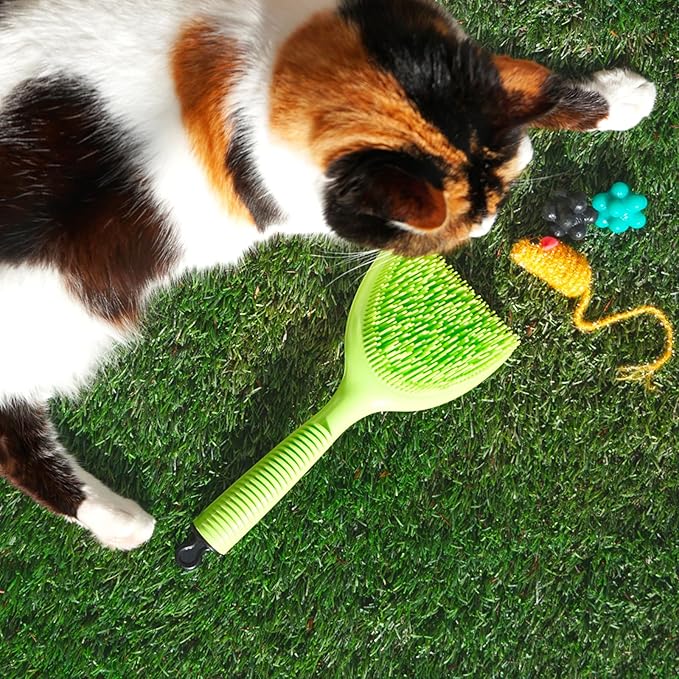 Michel Mercier Pet Detangling Brush - Fine or Normal Fur - Cat & Dog Brush for Grooming, Detangling & Deshedding - 1 pc-Mewly Pet