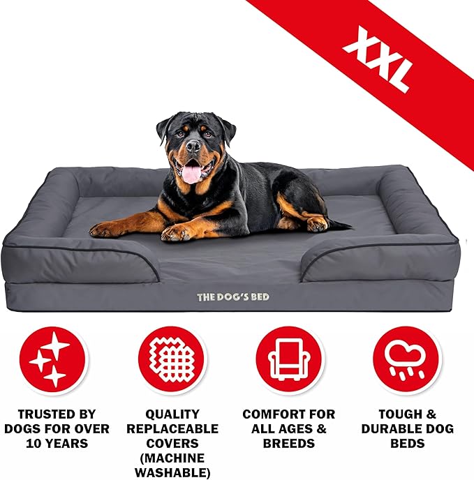 The Dog’s Bed, Orthopedic Standard Foam Waterproof Dog Bed with Standard Support, XXL Grey with Black Trim, Waterproof, Supportive Dog Bed with Replaceable Covers, Veterinary Approved-Mewly Pet
