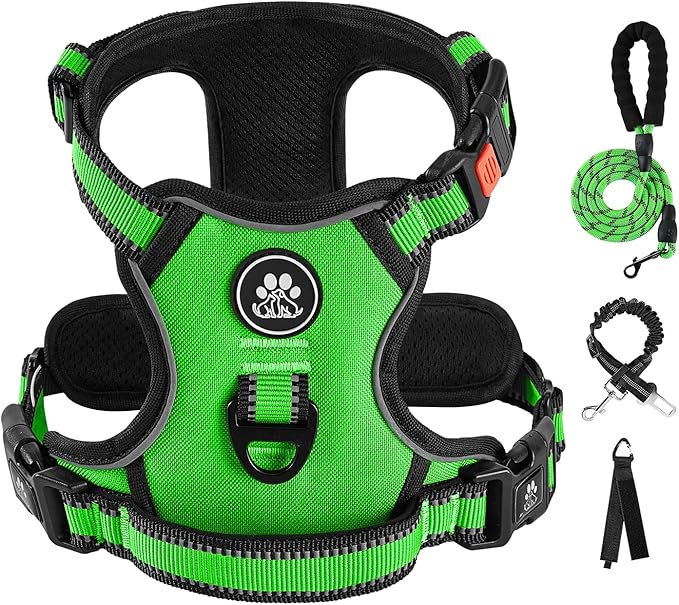 IVY&LANE No Pull Dog Harness for Small Dogs, Dog Vest Harness with Leash, Safety Belt and Storage Strap, Fully Adjustable Harness, 360° Reflective Strip, Soft Handle (Green,S)-Mewly Pet