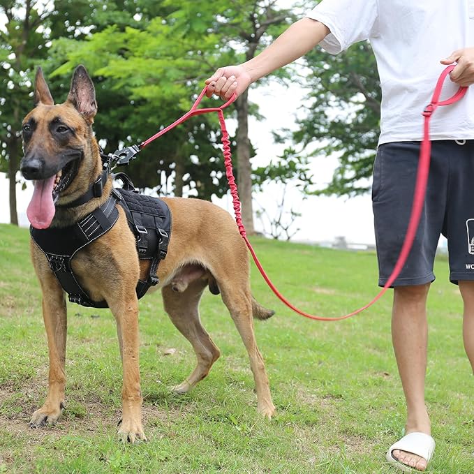 ICEFANG Tactical Dog Leash,K9 Training Walking Bungee Lead with 2 Control Handle,Heavy Duty Quick Release Metal Clasp,for Medium Large Breed (Reflective Red, 6 FT)-Mewly Pet