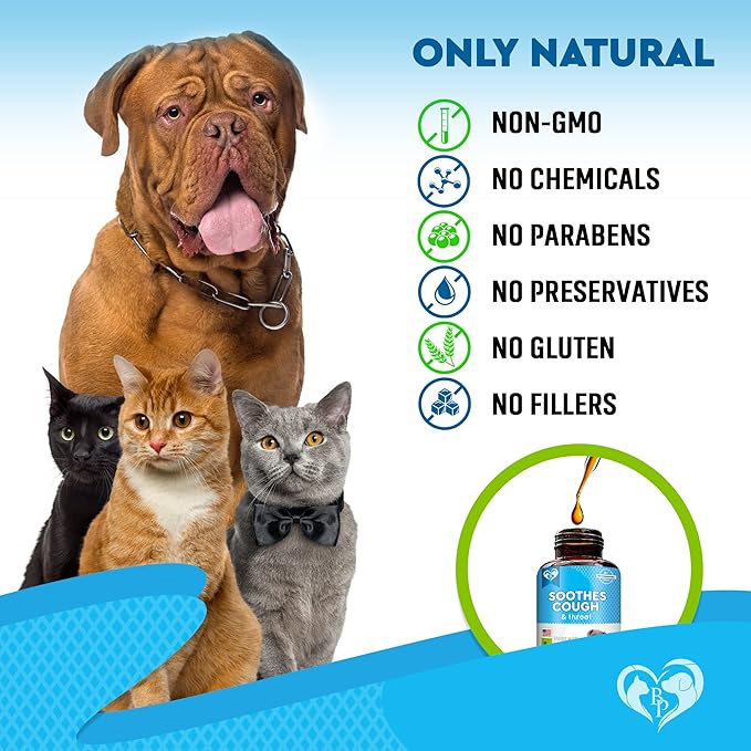 Kennel Cough Treatment & Natural Infection Medicine for Dogs & Cats - Respiratory & Cold Cough Relief - Collapse Trachea & Cat Asthma Support - Made in USA-Mewly Pet