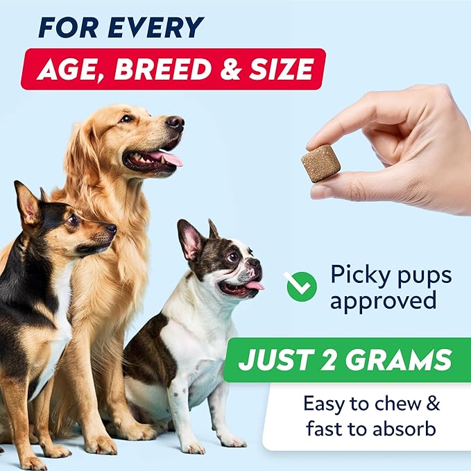 STRELLALAB Green Grass Dog Chews - Dog Pee Grass Helper - Supplement Urine Neutralizer for Grass Burn Spots - Grass Treatment for Pet Urine - Pee Lawn Repair Treats with Probiotics - Made in USA-Mewly Pet