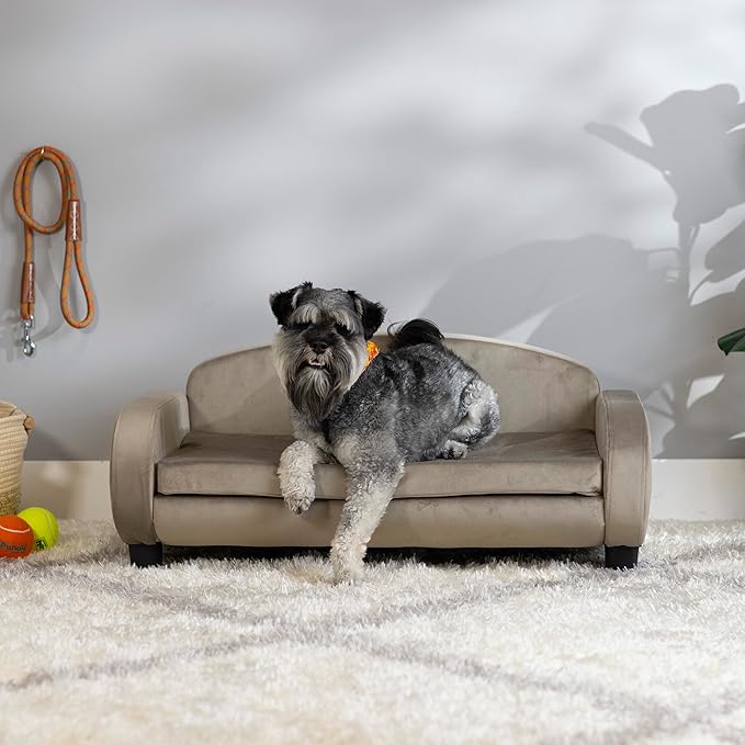 Paws & Purrs Multi-Cat Sofa Elevated Pet Bed for Indoor Cats Raised Cats Couch with Removable Washable Mattress Cover for Kittens, Dogs - 35.5" Wide, Ash-Mewly Pet