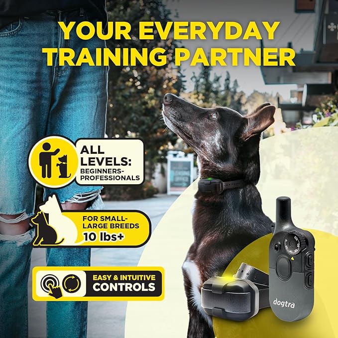 Dogtra 200iQ Remote Training E Collar – 100 Levels, Tone, Vibration, 1/2 Mile Range – Compact, Waterproof, One-Handed Control for Dogs 10 lbs+ – Lightweight Design for Daily Obedience Training