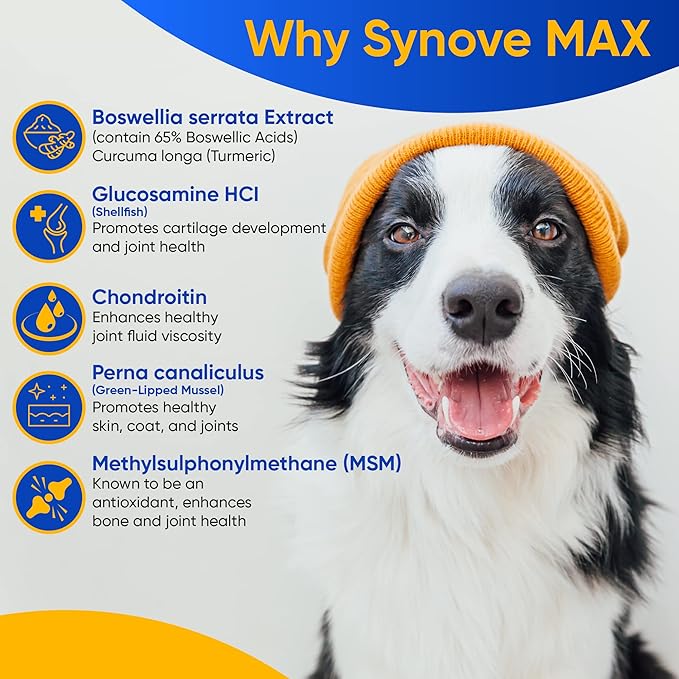 Synove Max Soft Chews for Dogs (240 Count) Beef Flavor, Joint Supplement, Glucosamine, Turmeric, Boswelllia serrata, Creatine Naturally Derived Ingredients better than synovi g4 soft chew-Mewly Pet
