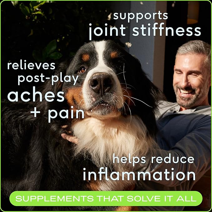 Native Pet Pain Relief for Dogs - Collagen for Dogs Promotes Joint Health, Reduce Inflammation & Stiffness - Senior Pup Joint Supplement - Natural Pain Reliever for Active & Aging Pets - 120 Chews-Mewly Pet