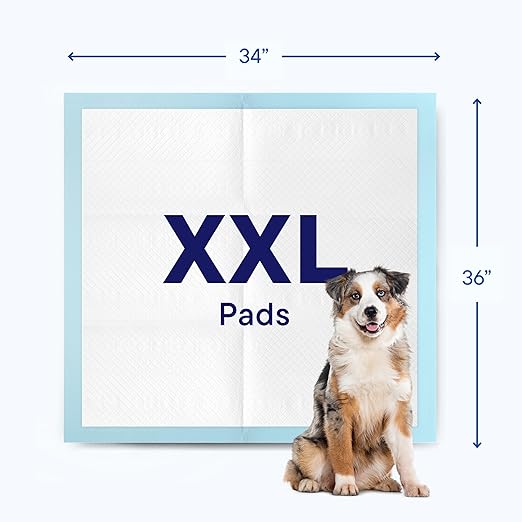 Puppy Pads Pet Pee Pads 34" x 36" [100-Count] Pet Training Disposable Pads, Extra Large Breed, Leak-Proof, Bulk Case Pack - for Golden Retrievers, Boxers, Great Danes, Heavy Duty Surface Protector-Mewly Pet