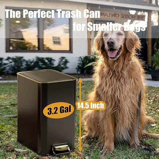 Dog Poop Trash Can Outside Stainless Steel - Metal Pooper Scooper Set - 12L Dog Waste Trash Can Outdoor with Pedal - Backyard, Yard - Removable Inner Bin, Long Handle Tray and Rake - Black and Gold-Mewly Pet