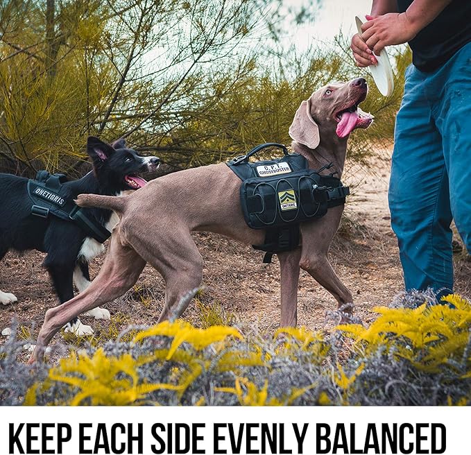 OneTigris Dog Backpack for Medium & Large Dogs, Nylon Backpack for Dogs Tactical Pet Backpack with Side Pockets for Hiking Walking Training Running (Black, Medium)-Mewly Pet