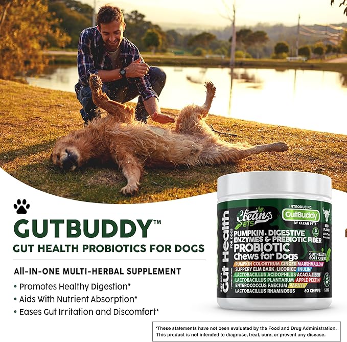 Probiotics for Dogs with Pumpkin, Colostrum, Digestive Enzymes, Ginger, Slippery Elm, Licorice, Inulin Fiber & More | Beef Flavor Soft Chews for Gut Health and Digestion Dog Supplement-Mewly Pet