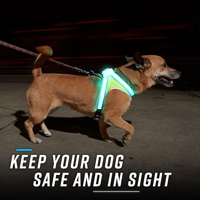 Noxgear LightHound – Revolutionary Illuminated and Reflective Harness for Dogs Including Multicolored LED Fiber Optics (USB Rechargeable, Adjustable, Lightweight, Rainproof) (Small)-Mewly Pet