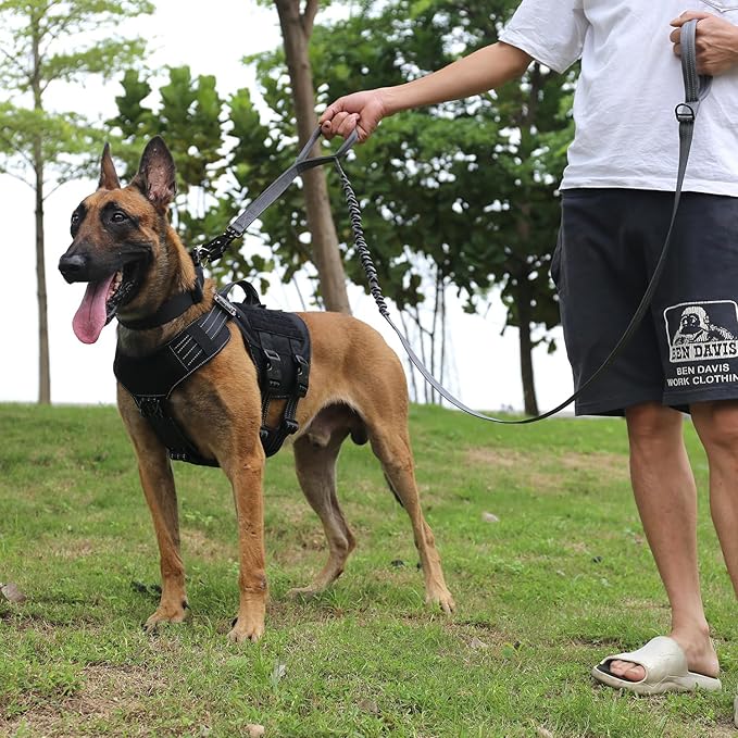 ICEFANG Tactical Dog Leash,K9 Training Walking Bungee Lead with 2 Control Handle,Heavy Duty Quick Release Metal Clasp,for Medium Large Breed (Reflective Grey, 6 FT)-Mewly Pet