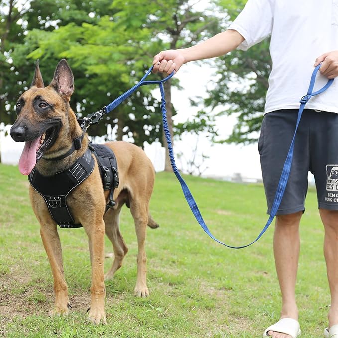 ICEFANG Tactical Dog Leash,K9 Training Walking Bungee Lead with 2 Control Handle,Heavy Duty Quick Release Metal Clasp,for Medium Large Breed (Reflective Blue, 6 FT)-Mewly Pet