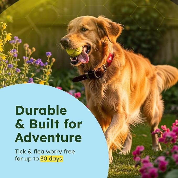 BugMD Paw Guardian Flea and Tick Prevention Pendant for Dogs with AirTag Holder | Plant-Powered Flea & Tick Control for Dog Collars Harnesses | Dog Tag with Air Tag Holder - Red-Mewly Pet