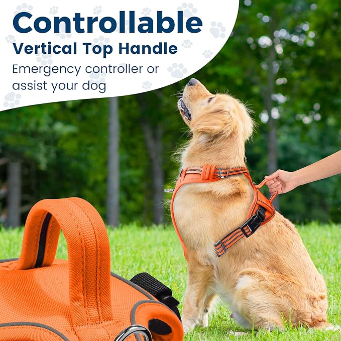 Funfox Dog Harness No Pull, Adjustable Pet Vest Harness, Super Soft Material with Vertical Handle Easy Control, Reflective Night Walking, 2 Leash Clips for Medium Sized Dogs, Orange, M-Mewly Pet