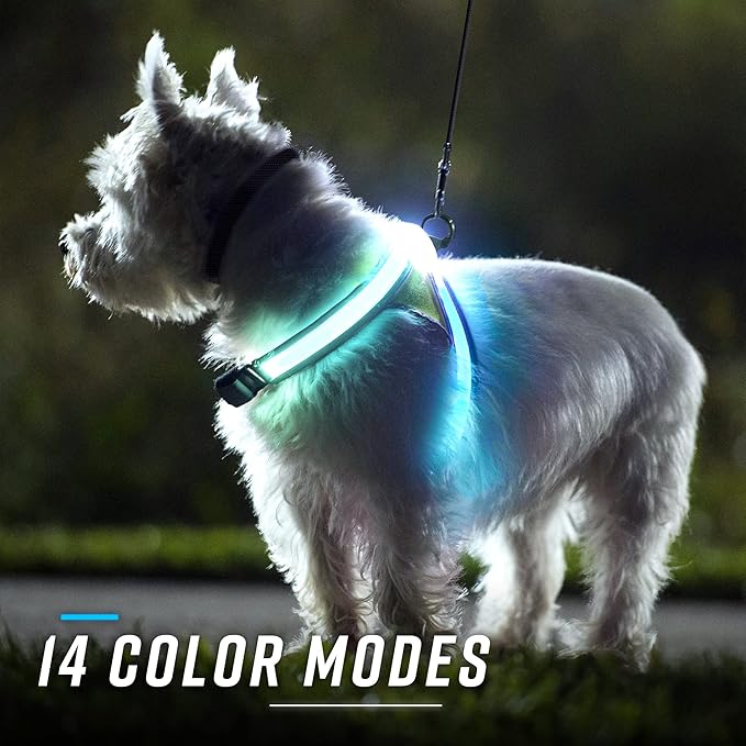 Noxgear LightHound – Revolutionary Illuminated and Reflective Harness for Dogs Including Multicolored LED Fiber Optics (USB Rechargeable, Adjustable, Lightweight, Rainproof) (Small)-Mewly Pet