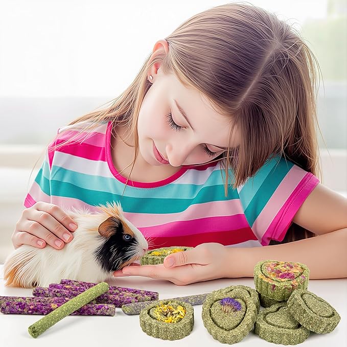 Sofier Timothy Hay Treats Rabbit Toys Bunny Guinea Pig Hamster Natural Chews for Teeth Handmade Rabbit Chews and Treats Chinchilla Rat Gerbil-Mewly Pet