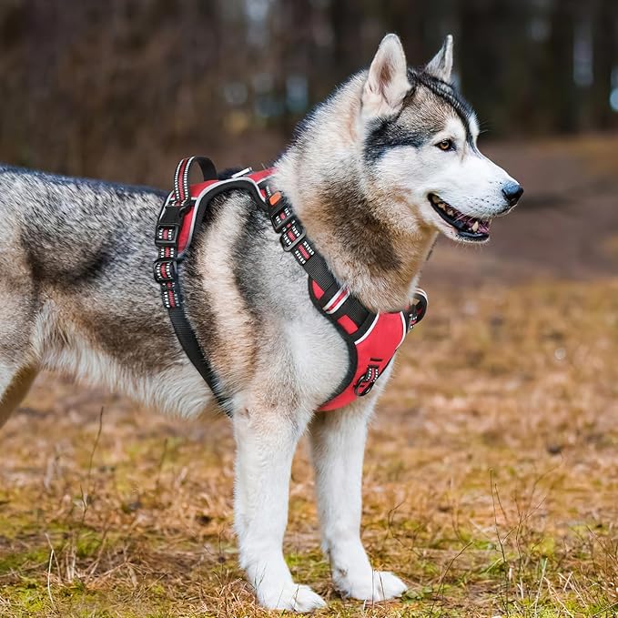Timos Dog Harness Large Sized, No Pull with Neck Lockable Snap,No Choke Front Clip Dog Reflective Harness,Adjustable Metal Rings 3 Buckles,Easy Control Handle for Large Dogs Red L-Mewly Pet