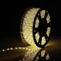 100Ft Rope Lights Outdoor, LED Strip Lights Waterproof Decorative Lighting for Indoor/Outdoor Decorations, Eaves, Backyards Garden, Patio and Bedroom, Christmas Decorations