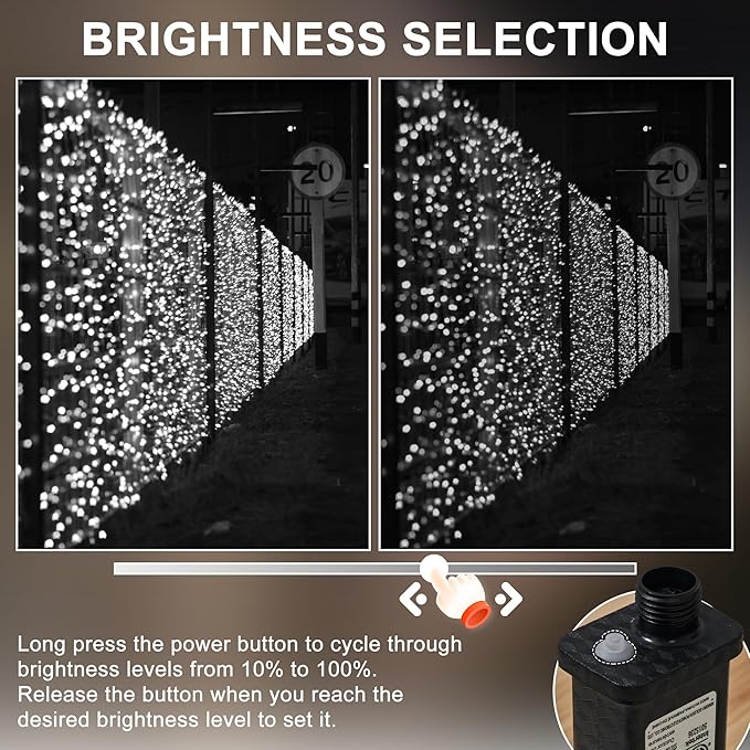 RPGT Christmas Light 100 LEDs 41ft Green Cable Wire Fairy String Twinkle Lights Plug in 12 Modes for Xmas Tree, Party, Outdoor, Garden, Wedding, Home Decoration (White)
