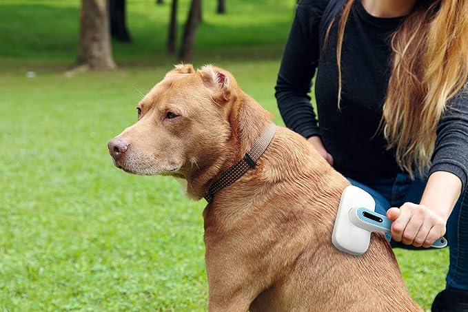 Pets First Premium Dog Brush & CAT Brush Self Cleaning Dog Slicker Hair Brush Easy to Clean Best Pet Grooming Brushes Shedding Grooming Tools for Dogs and Cats. Beautiful Gift for The Groomer!-Mewly Pet