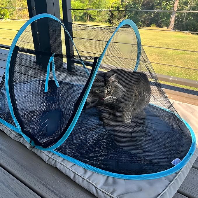 Cat Tent Outdoor, Pet Enclosure Tent Suitable for Cats and Small Animals, Indoor Playpen Portable Exercise Tent with Carry Bag（Black）-Mewly Pet