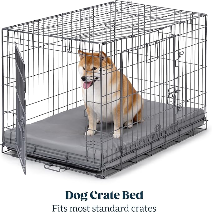 Cybarmour Indestructible Dog Bed - Outdoor Waterproof Chew Proof Dog Crate Pad - Orthopedic Kennel Mat for Aggressive Chewers - Large Breeds & Fits 42-Inch Crate - 41"x27", Limestone-Mewly Pet