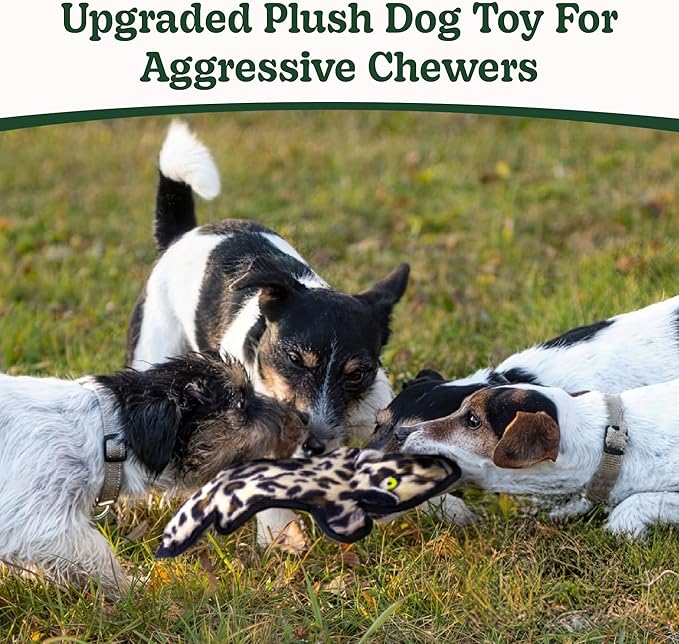 SHARLOVY No Stuffing Dog Toys Crinkle Squeaky, Long Lasting Chews for Aggressive, Durable Plush Dog Puppy Chew Toys for Teething, with 6 Tough Layers for Small Medium Large Breed-Mewly Pet