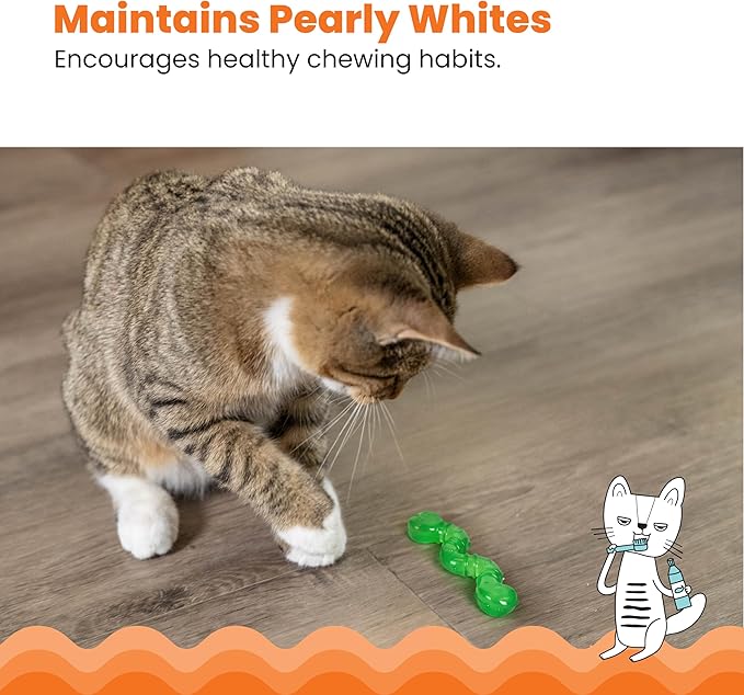 Catstages OrkaKat Wiggle Worm Cat Chew Toy – Catnip Dental Toy for Kittens and Cats, Orange Rubber with Ridges-Mewly Pet
