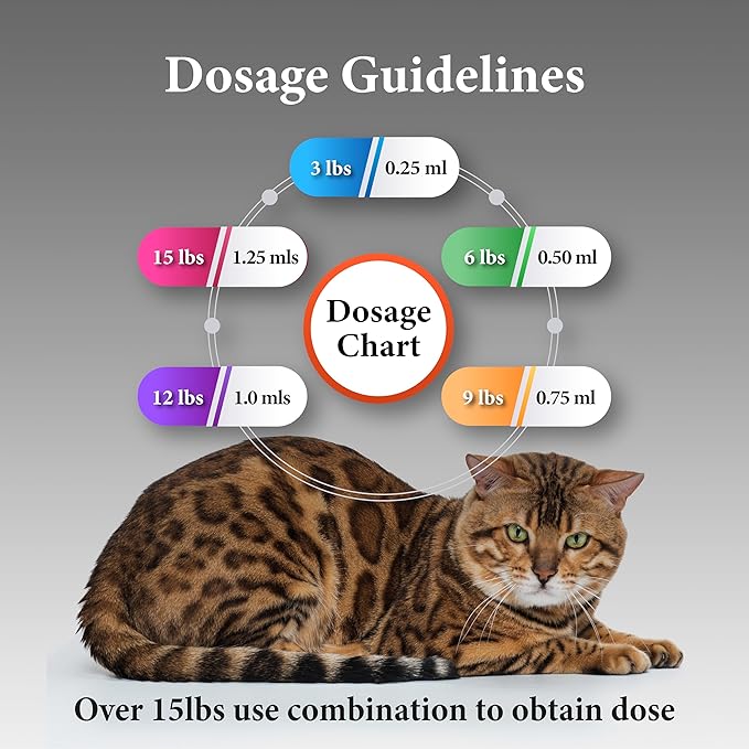 No More Tapeworms in Cats - Dewormer for Cats - 3ml Dropper-Mewly Pet