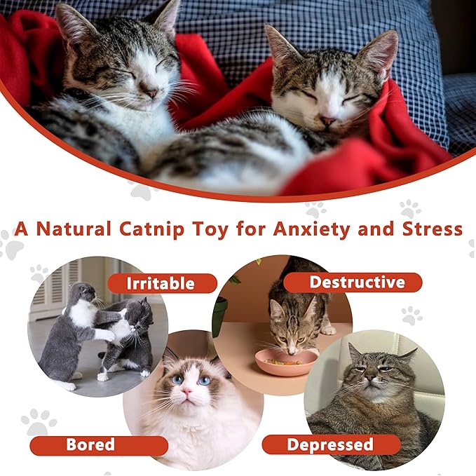 Interesting Catnip Toys Fish, 1 Pack Large Cat Toys, Soft Indoor Cat Kicker Toys, Durable and Highly Interactive Catnip Toys（Red Fish）-Mewly Pet