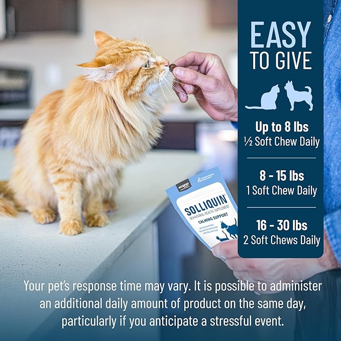 Nutramax Solliquin Calming Behavioral Health Supplement for Small to Medium Dogs and Cats - With L-Theanine, Magnolia / Phellodendron, and Whey Protein Concentrate, 75 Soft Chews-Mewly Pet