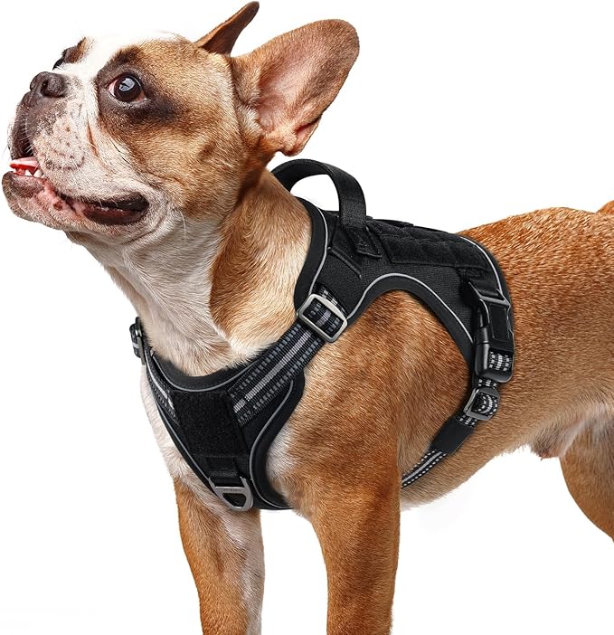rabbitgoo Dog Harness Small Sized No Pull, Tactical Service Pet Vest with Molle and Control Handle, Adjustable and Reflective Military Harness for Easy Walking and Training, Black, S-Mewly Pet