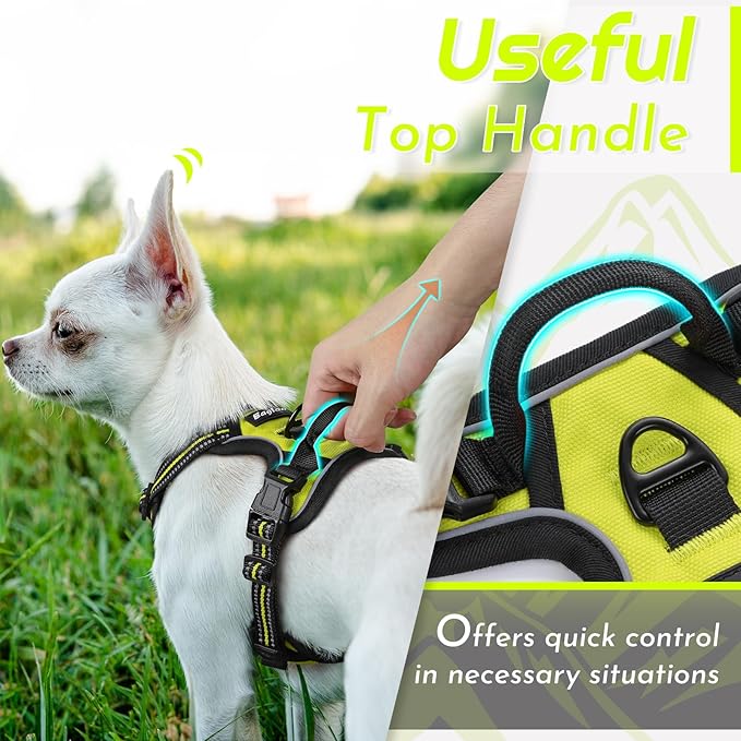 Eagloo Small Dog Harness No Pull, Service Vest with Reflective Strips and Control Handle, Adjustable and Comfortable for Walking, No Choke Pet Harness with 2 Metal Rings, Green, XS-Mewly Pet