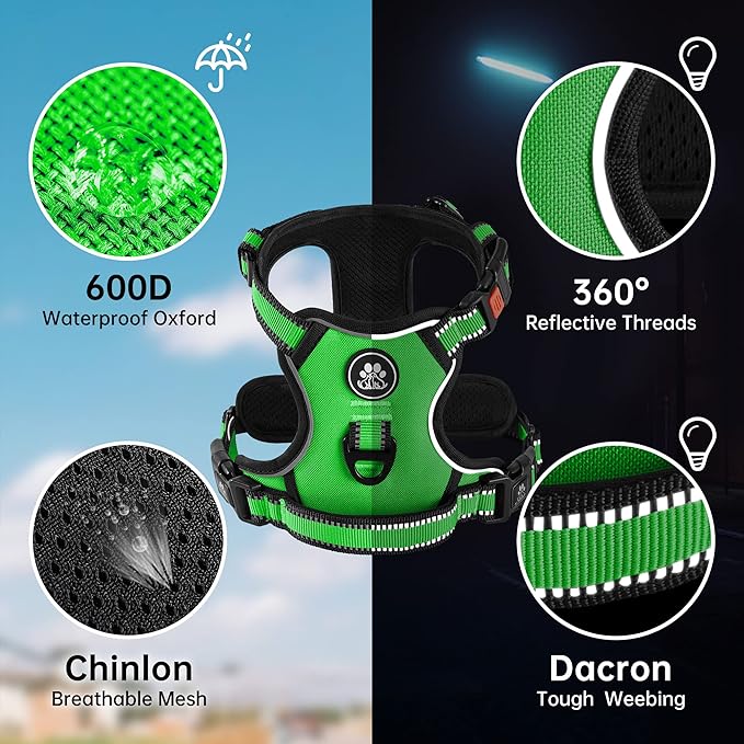 NESTROAD No Pull Dog Harness,Adjustable Oxford Dog Vest Harness with Leash,Reflective No-Choke Pet Harness with Easy Control Soft Handle for Small Dogs(Small,FluorescentGreen)-Mewly Pet