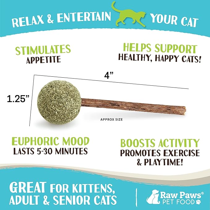 Raw Paws Catnip & Silvervine Lollipops Interactive Cat Toy (6 Pack) - Silvervine Sticks for Cats - Catnip Ball Toy - Fresh Cat Nip - Silver Vine Dental Sticks-Mewly Pet