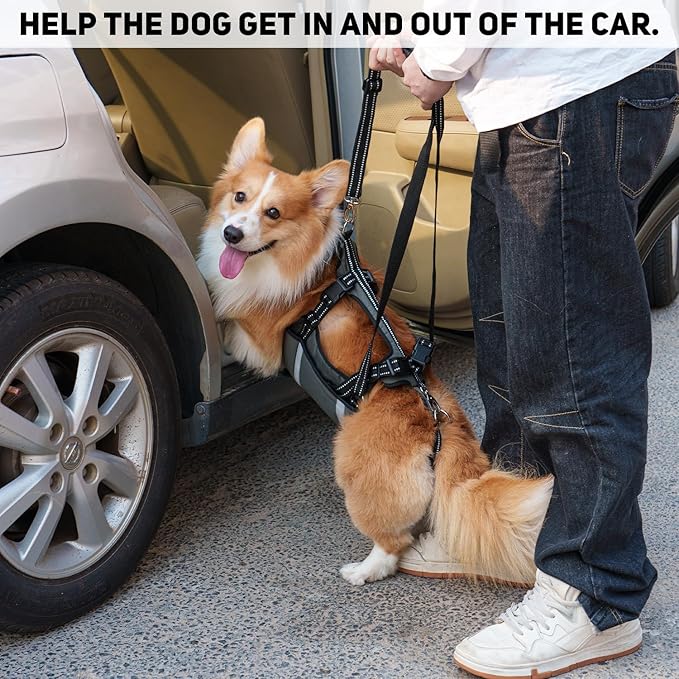 COODEO Mobility Dog Lift Harness, Emergency Carry Sling, Pet Rear Leg Support Rehabilitation Lifts Vest, Dog Carrier for Senior Dogs Joint Injuries, Arthritis (Military Green, XL)-Mewly Pet