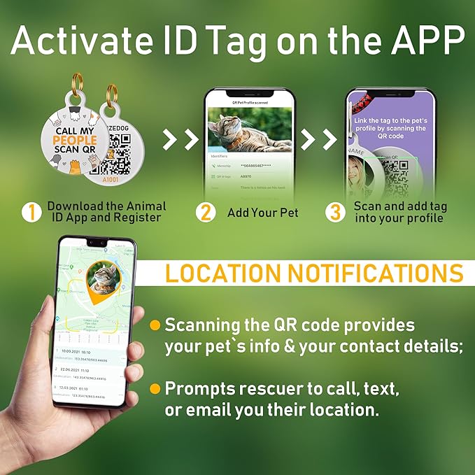 BRONZEDOG Leather Cat Collar with Removable Bells Non Breakaway Kitten QR Tag for Girl Boy (9" - 12" Cats/Mini Dogs, Black & Silver)-Mewly Pet