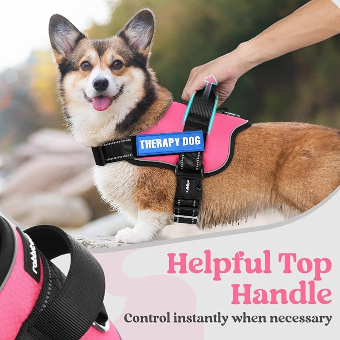 rabbitgoo Dog Harness Medium Sized, Easy On Pet Vest with One Buckle, No Pull Adjustable Service Harness with D-Ring & Handle, Reflective for Safety Walking, Training, Pink, M-Mewly Pet