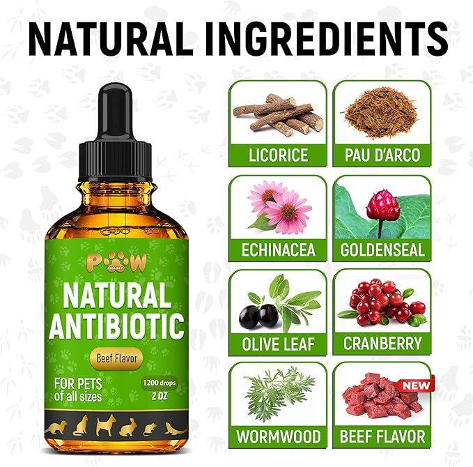 Antibiotics for Dogs | Antibiotics for Cats | Herbal Supplement for Digestion, Breathing, Urination | for Infections, Cough, Allergies | Beef Flavor & Cranberry | for All Pet Breeds | 2 Oz-Mewly Pet