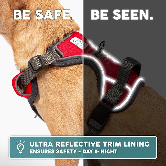 Embark Adventure Dog Harness, Reflective Trim No Pull Dog Harnesses for Small Sized Dogs - Military Grade Nylon, Front Clip with Gel Lined Handle.-Mewly Pet