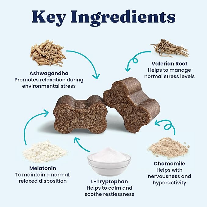 Solid Gold Calming Chews for Dogs - Dog Calming Chews w/Melatonin for Separation, Stress & Hyperactivity Relief - Supports Relaxation for Travel, Fireworks & Storms - All Ages & Sizes - Bacon 120ct-Mewly Pet