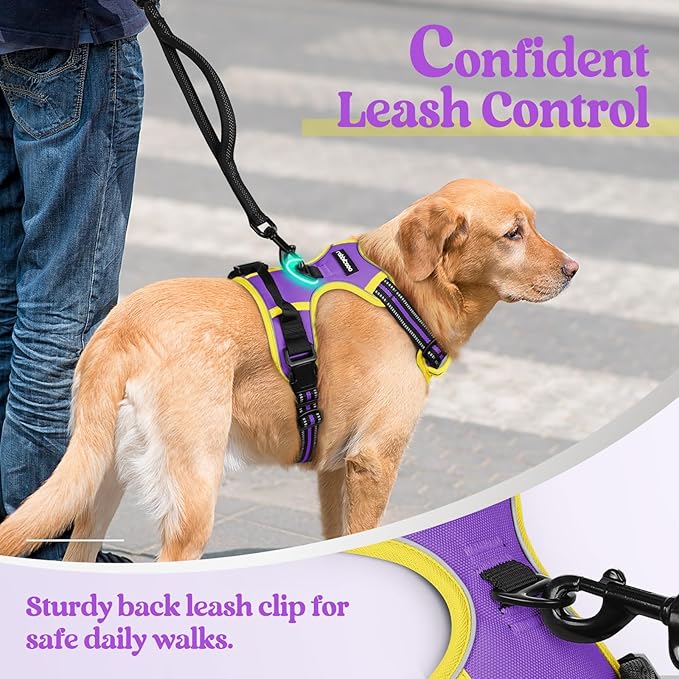 rabbitgoo Dog Harness No Pull with 2 Leash Clips, Adjustable Soft Padded, Reflective Oxford No Choke Pet Vest with Easy Control Handle for Medium Sized Dogs, Purple & Yellow, M-Mewly Pet