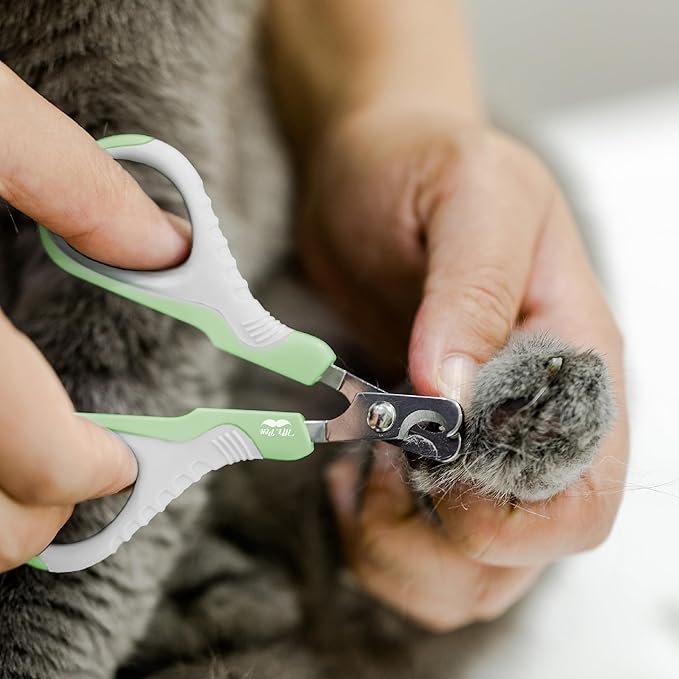 Mr. Pen- Cat Nail Clipper, Pastel Green, Cat Nail Trimmer, Cat Nail Clippers, Cat Claw Clippers, Cat Clippers for Nails, Pet Nail Clippers, Kitten Nail Clipper, Small Dog Nail Clipper Cat Claw Trimmer-Mewly Pet